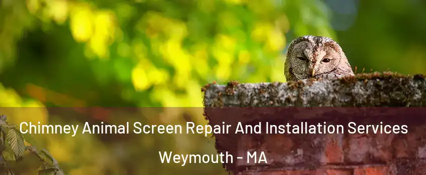  Chimney Animal Screen Repair And Installation Services Weymouth - MA