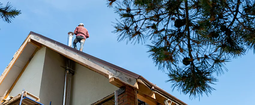 Birds Removal Contractors from Chimney in Weymouth, MA